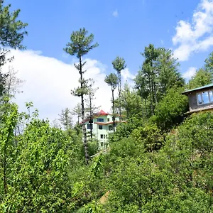 An Mashobra Ii Forest-mountain View , Shimla India