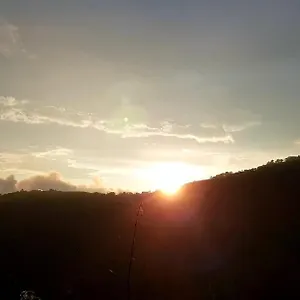 Paithal 3*, Kannur India